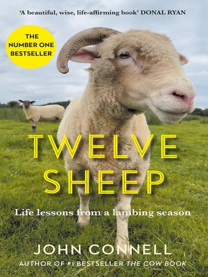 cover image of Twelve Sheep